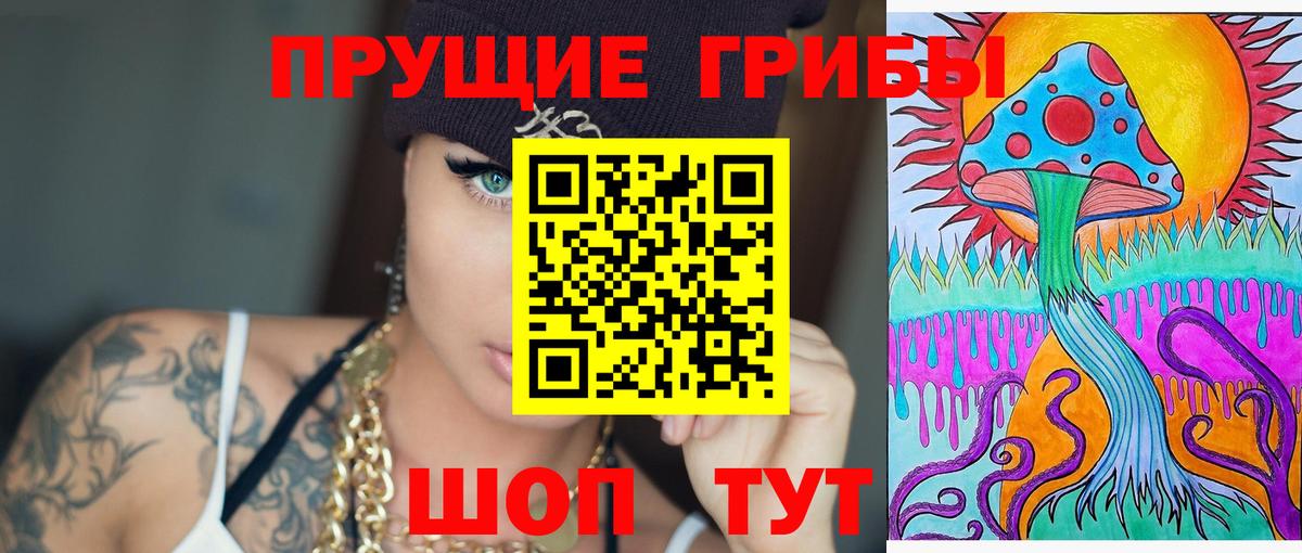 Псилоцибиновые грибы GOLDEN TEACHER Альметьевск